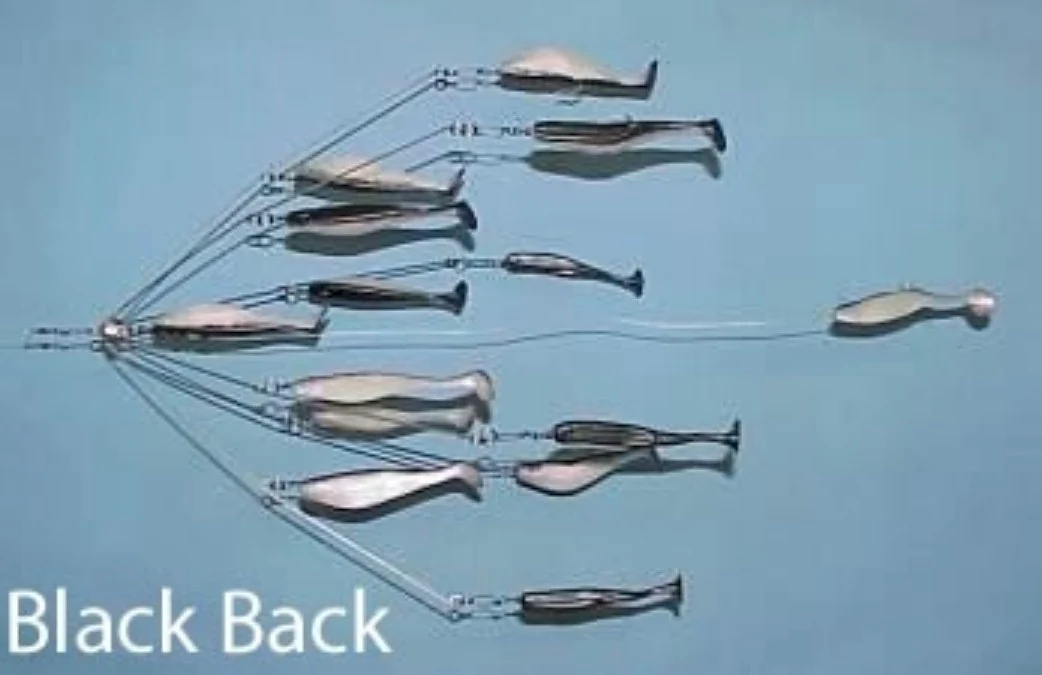 9er's New England 6" Shad Umbrella Rigs - Image 9