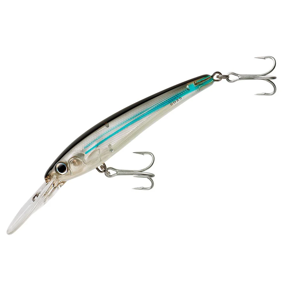 Bomber BSWCD30 Certified Depth Big Game Lure - Image 19