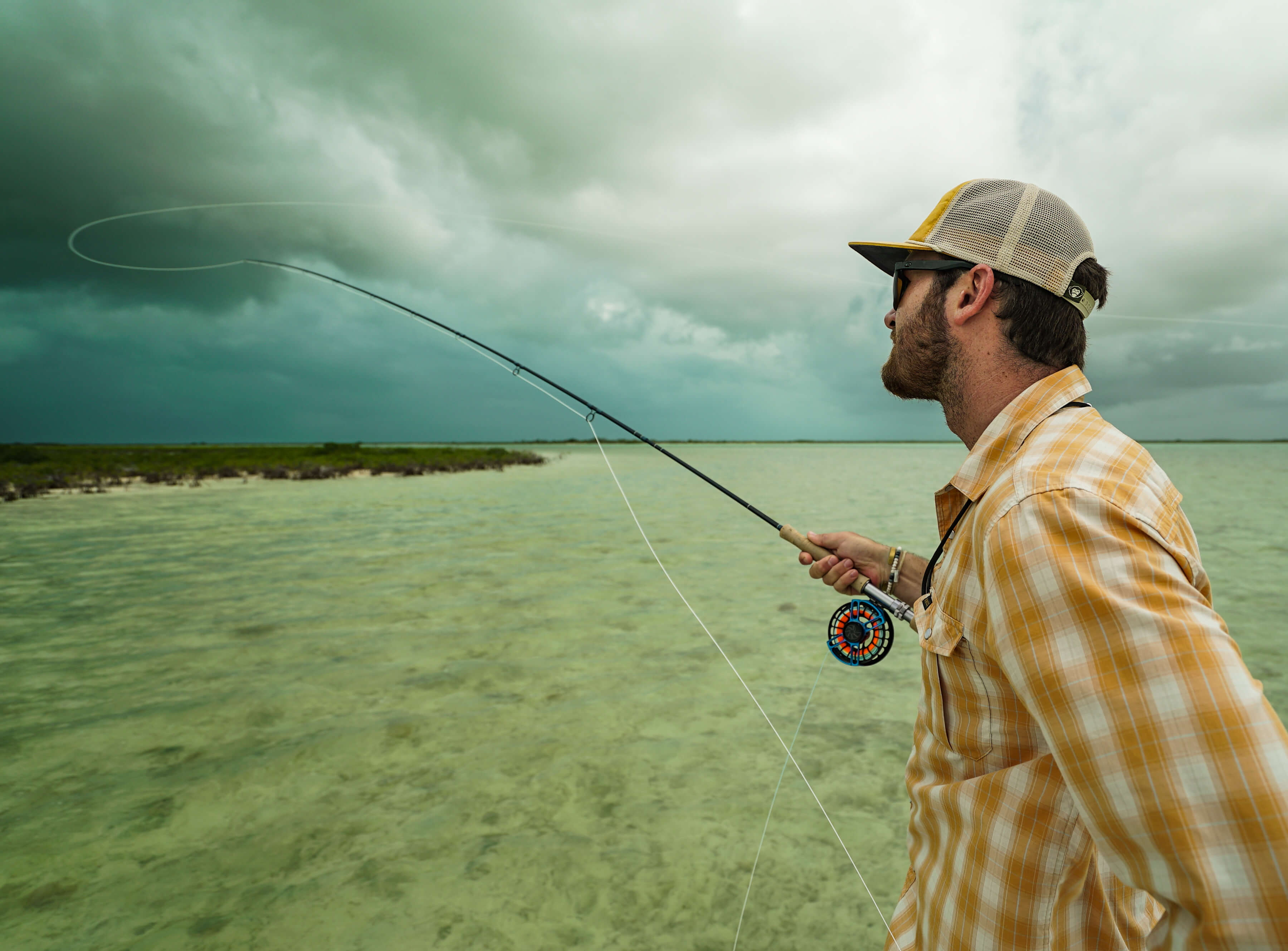 Bonefish - Image 2