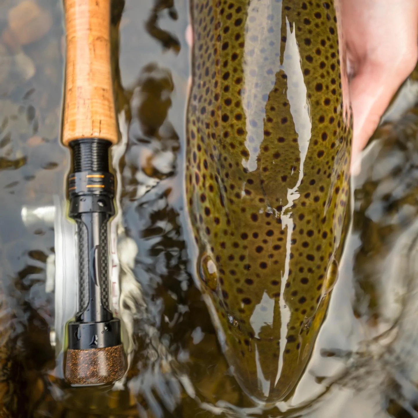 Cortland Competition MKII Series Fly Rod - Euro Style Nymphing - Image 5
