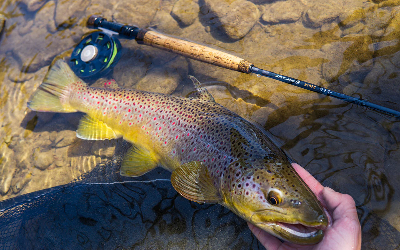 Cortland Nymph Series Fly Rods - European Style Nymphing - Image 6