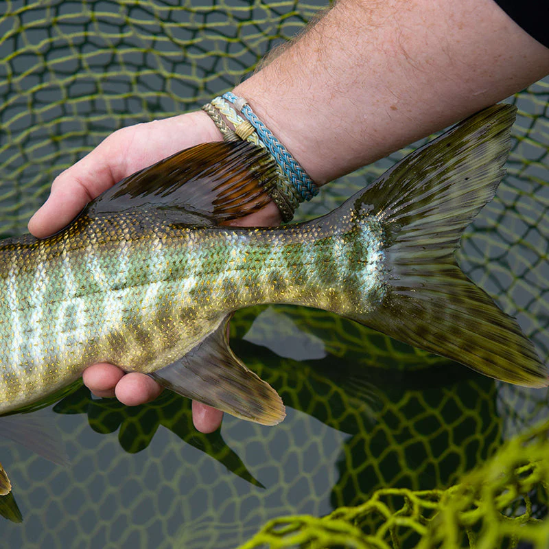 Cortland Pike Musky Sink 8 - Image 3