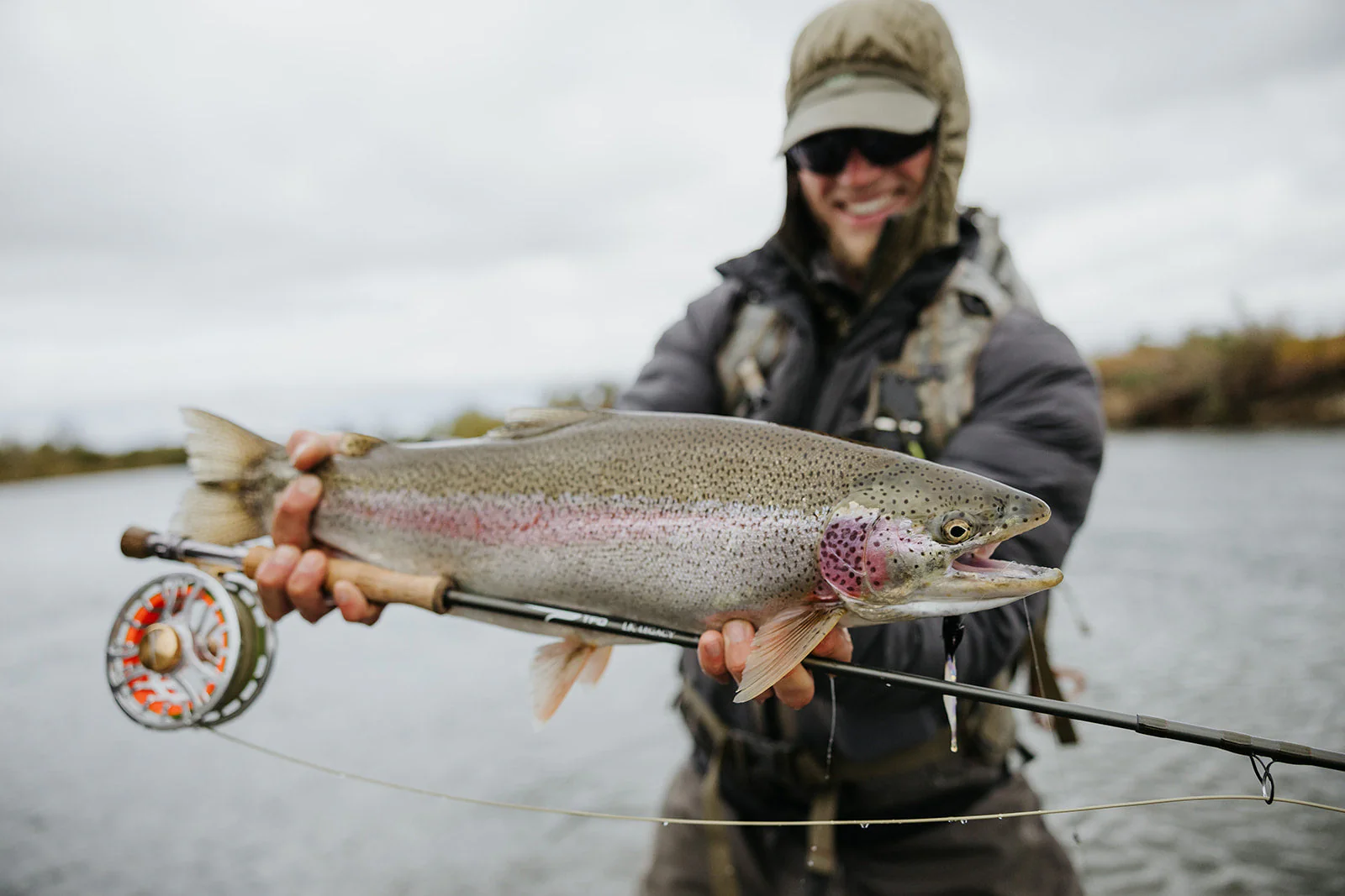Streamer - Image 3