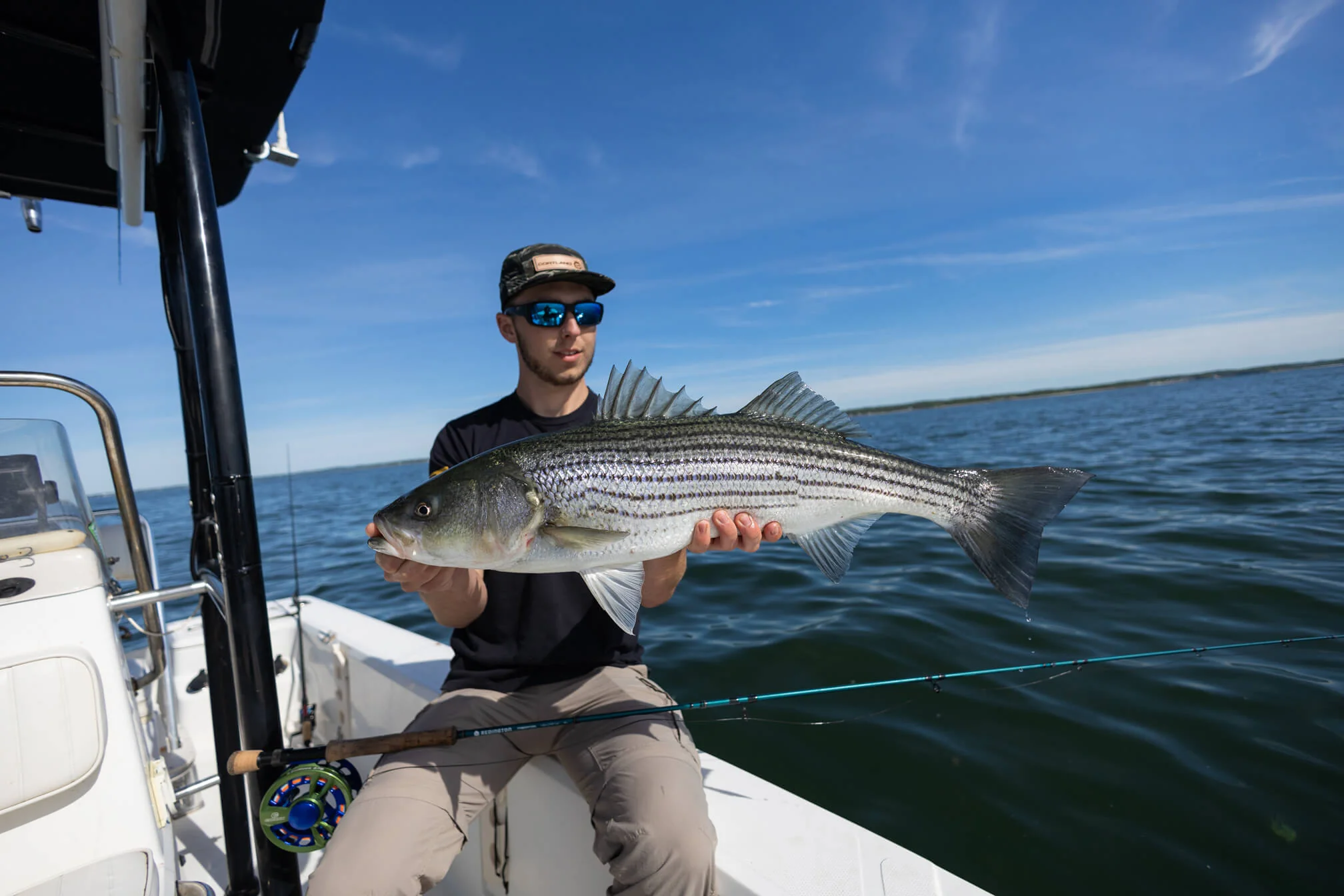 Striped Bass Sink 8 - Image 3