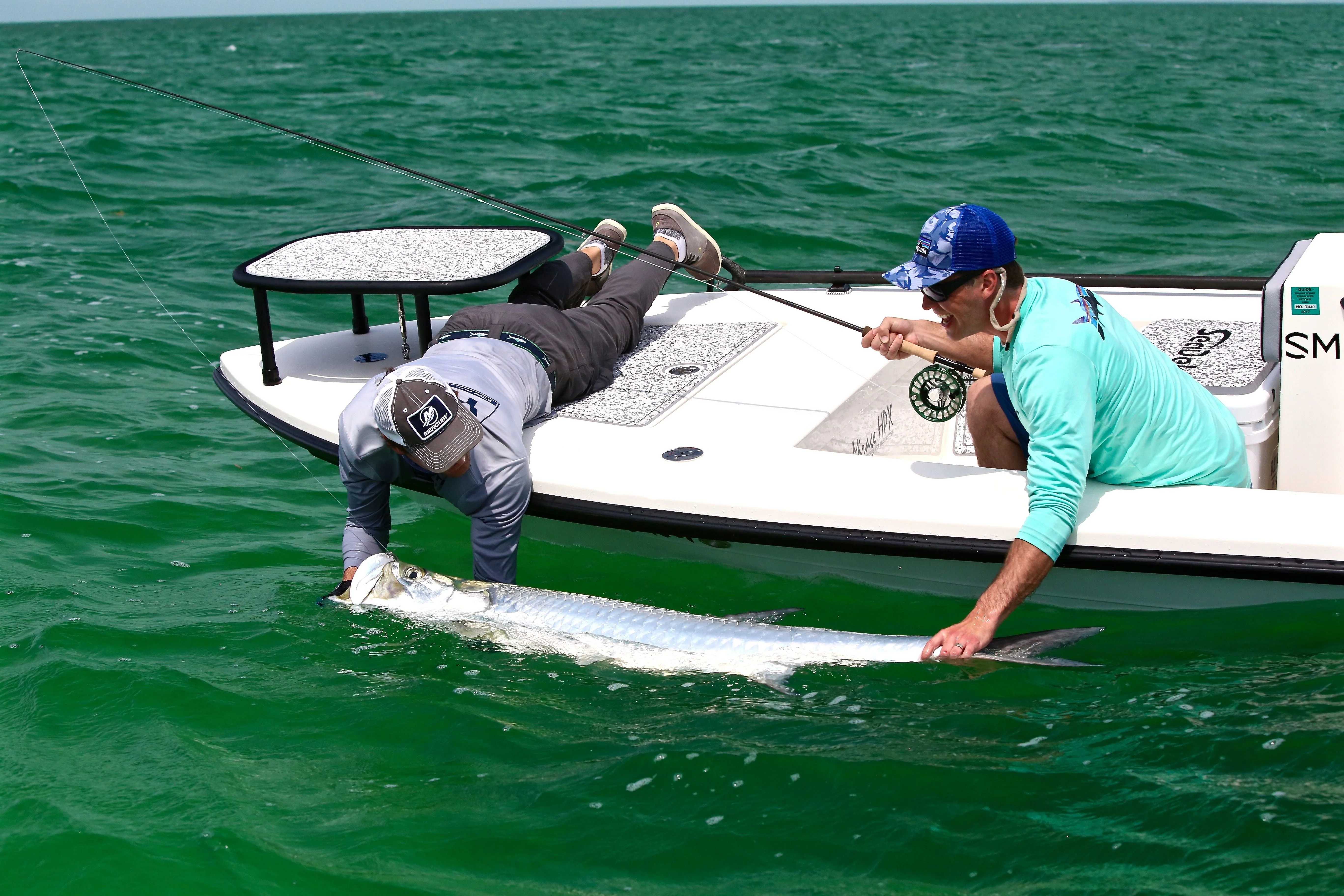 Cortland Tarpon Taper Clear - Image 3