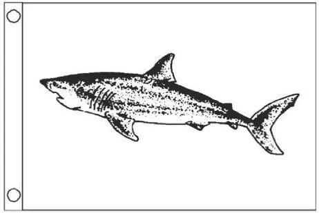 Taylor Fish Flags - Image 3